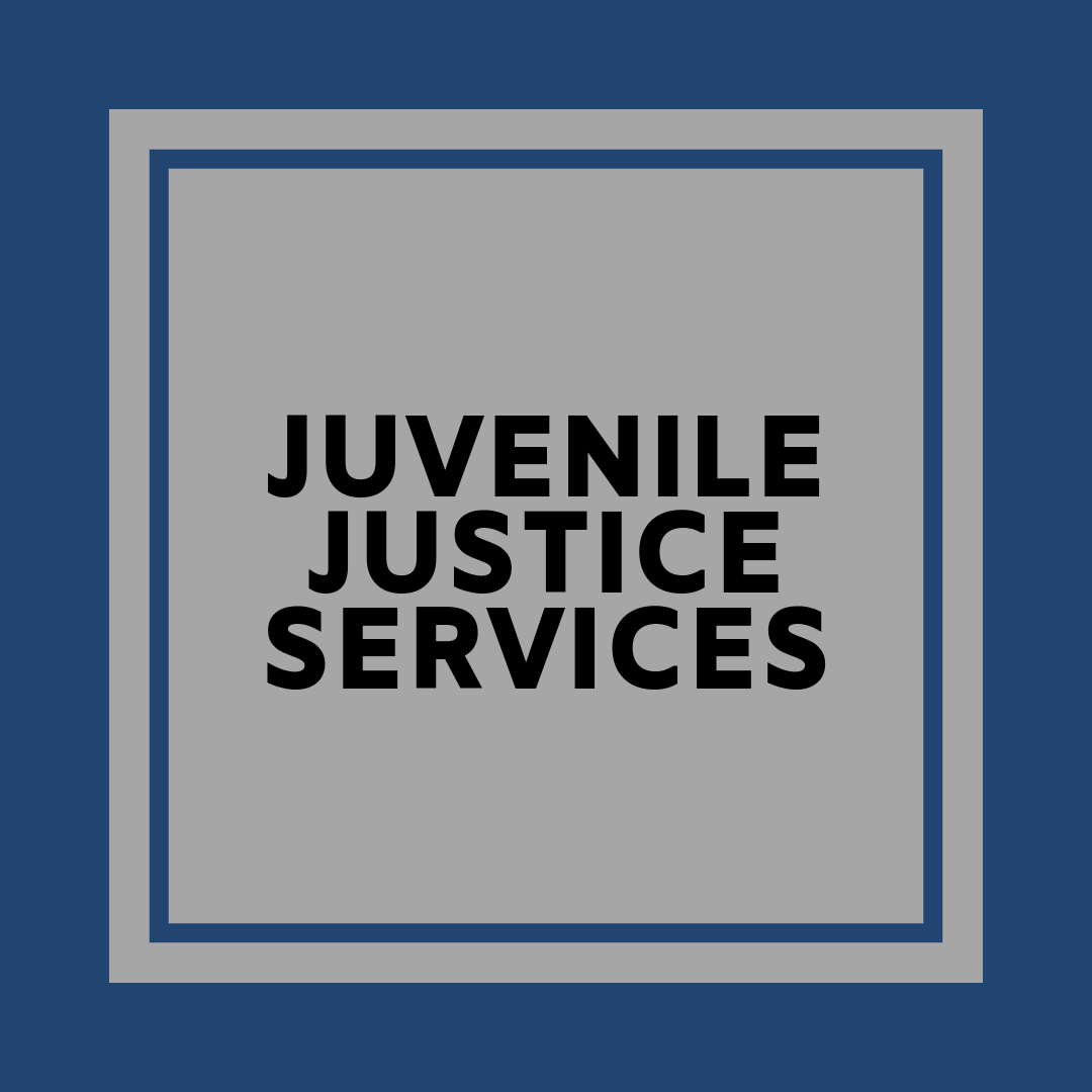 Juvenile Justice Services Badge