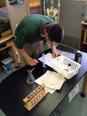 Lab Lab
